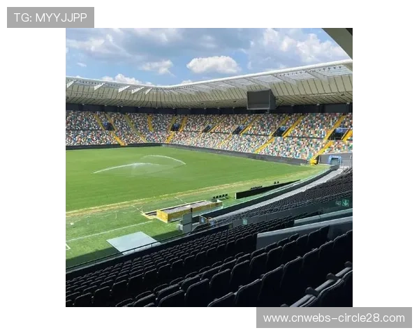 意甲球场设施落后制约体验，新建设计划瞄准家庭观众群体